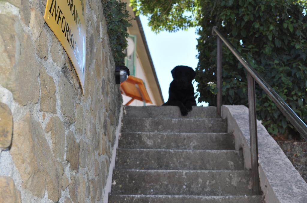 فيلا Agriturismo Il Cerrosughero سكارلينو المظهر الخارجي الصورة