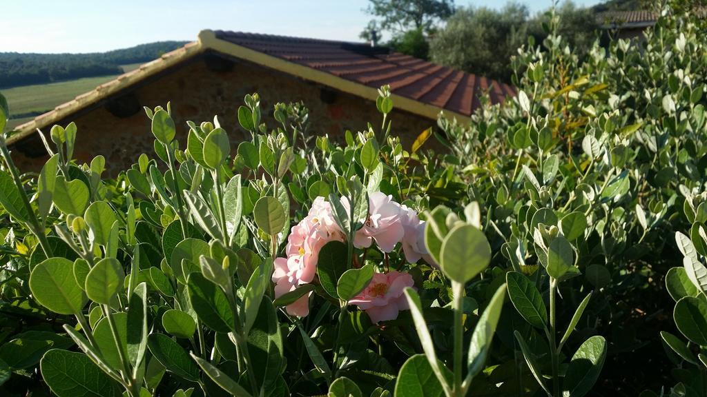 فيلا Agriturismo Il Cerrosughero سكارلينو المظهر الخارجي الصورة